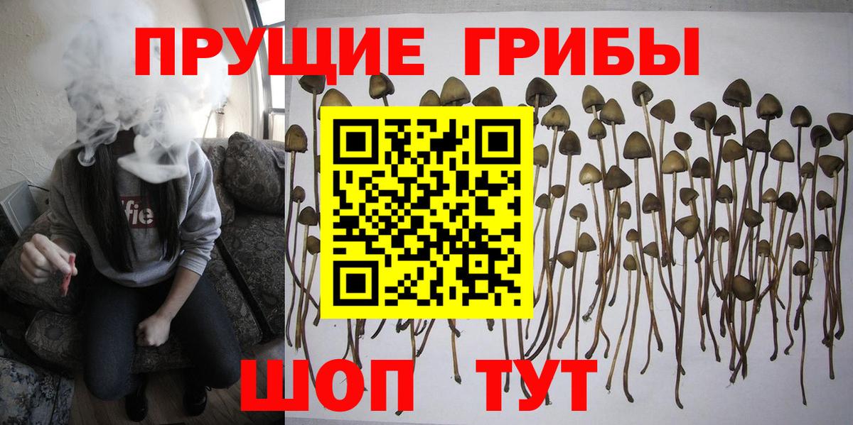 Галлюциногенные грибы ЛСД Барабинск