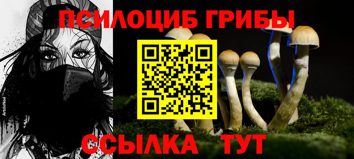 Галлюциногенные грибы мухоморы  Псилоцибиновые грибы Magic Shrooms  Вход с VPN  купить наркотики цена  Барабинск 